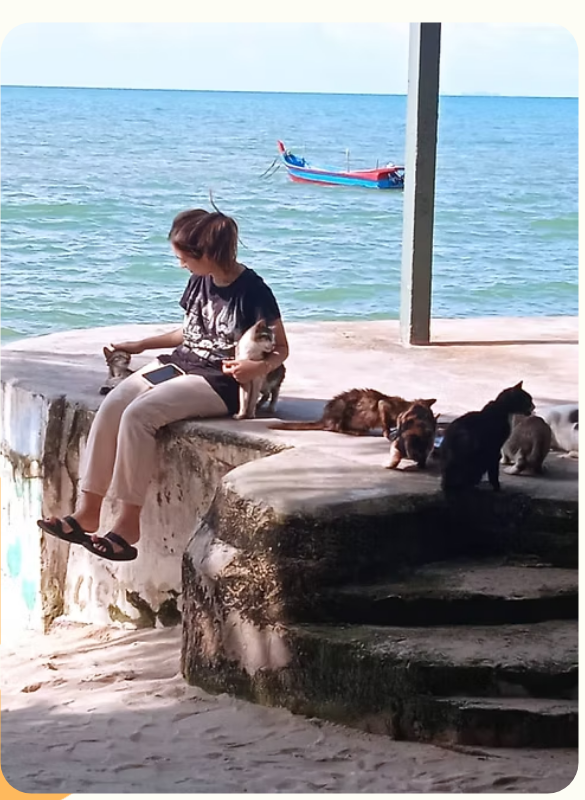 Rescued cats at Cat Beach Sanctuary in Penang