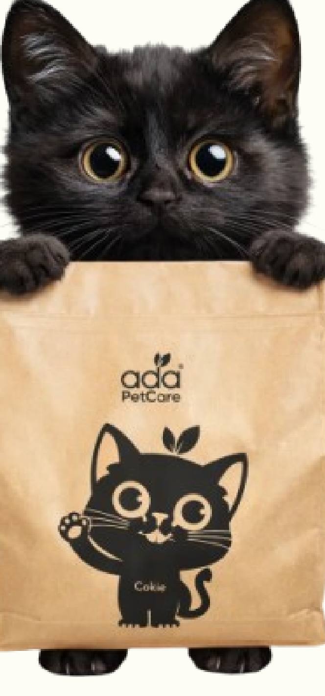 A black cat sitting inside an ADA Pet Care kraft litter bag