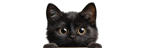 A black kitten peering over the top of an ADA Pet Care litter bag