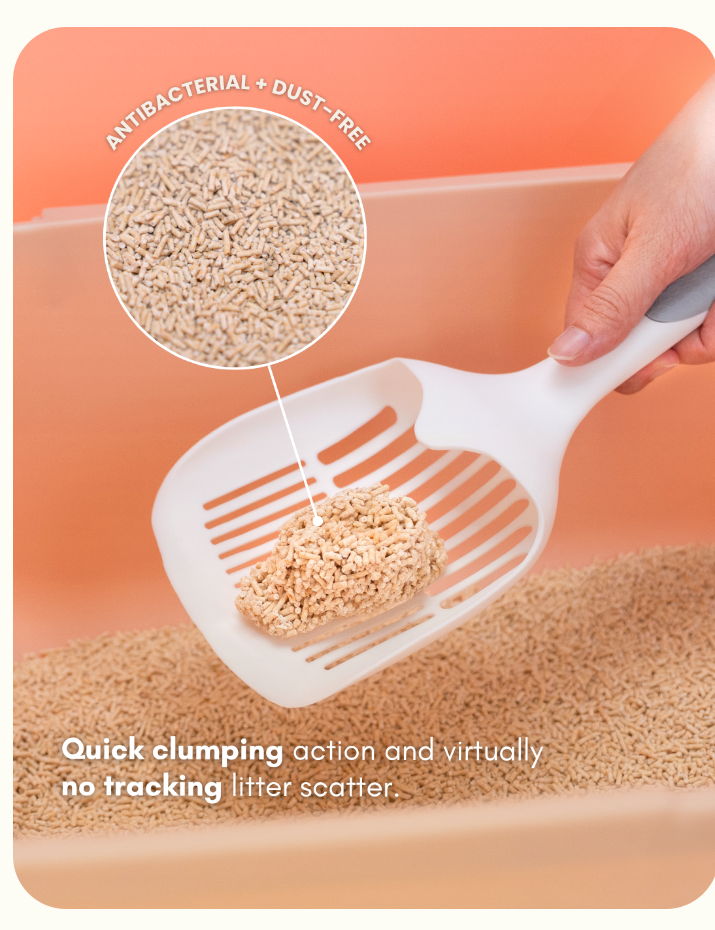 Antibacterial and dust-free litter with quick clumping action and virtually no tracking litter scatter