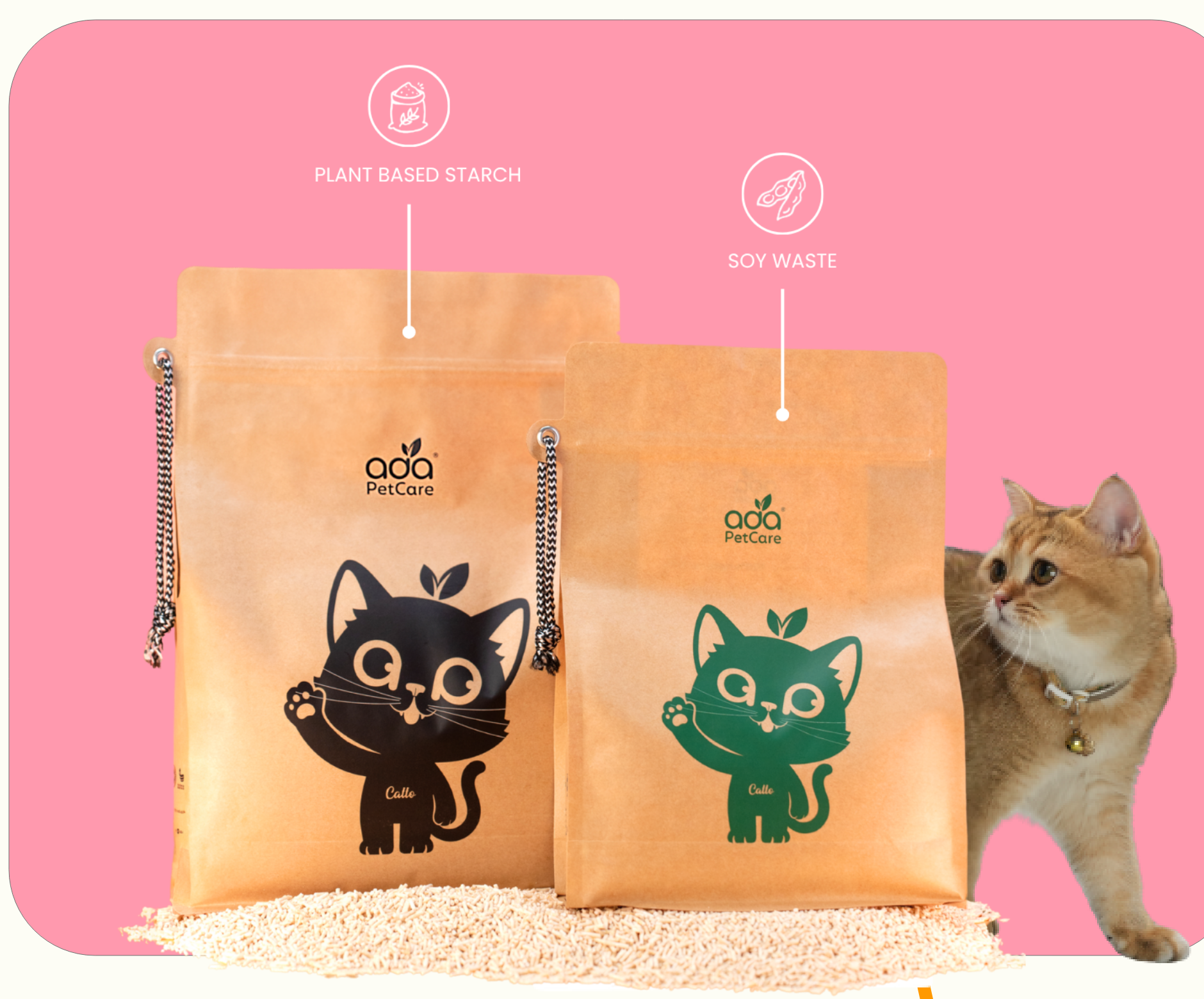 Two ADA Pet Care cat litter packs on a bed of tofu litter, labelled plant based starch and soy waste, with a cat looking on
