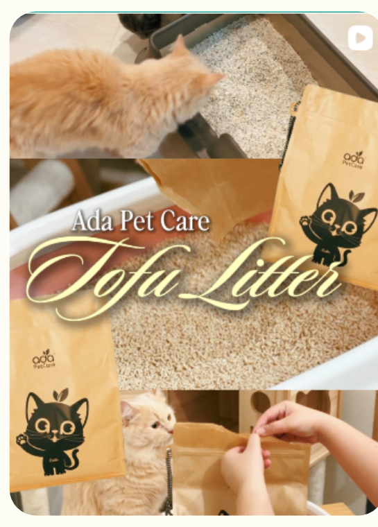 A cat inspecting a tray of ADA Pet Care tofu litter