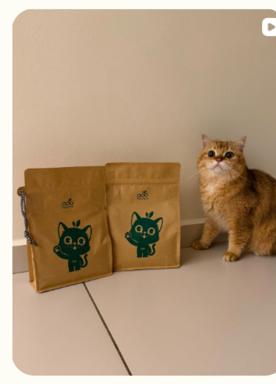 A ginger cat beside two packs of ADA Pet Care cat litter at home